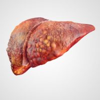 healthy liver